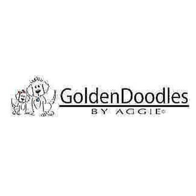Golden Doodles By Aggi