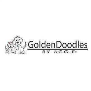 Golden Doodles By Aggi